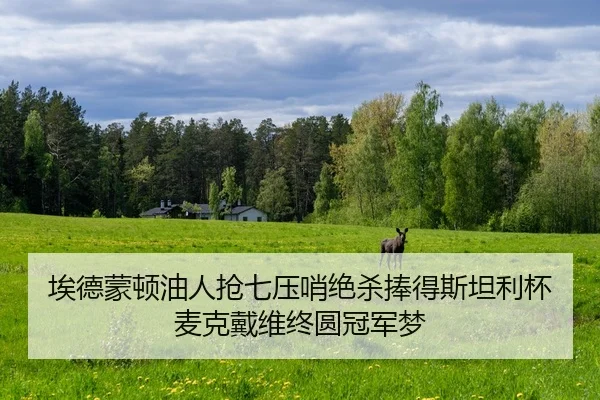 ai-de-meng-dun-you-ren-qiang-qi-ya-shao-jue-sha-peng-de-si-tan-li-bei-mai-ke-dai-wei-zhong-yuan-guan-jun-meng-2-252.jpg